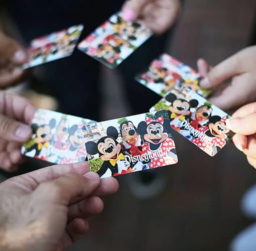 Entradas para un parque de atracciones, el objetivo del ahorro